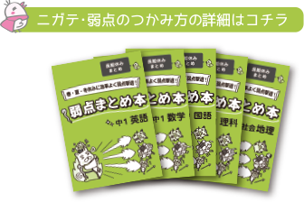 ニガテ・弱点のつかみ方の詳細はコチラ